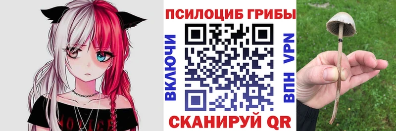 МЕГА ссылки Бахчисарай Псилоцибиновые грибы мицелий наркошоп